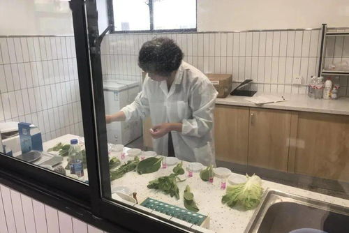 新規落地 “食用農產品”終于開了，時代的必然要求和挑戰